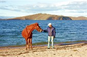 Байкал и лошади