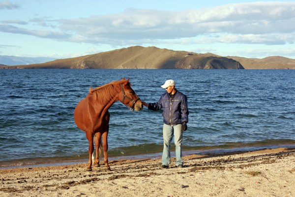 на фото: Байкал и лошади