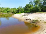 В таких заливчиках обычно водятся щуки.