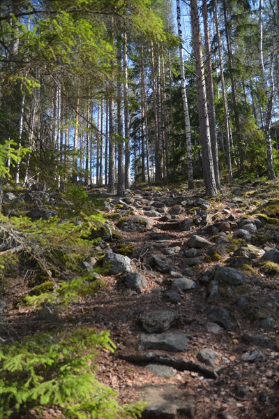 Спуск к Karihiekka