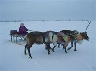 Архангельск зимой