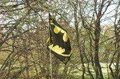 Знамя Bad Bat
