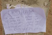 На столбах - объявления о продаже недвижимости...