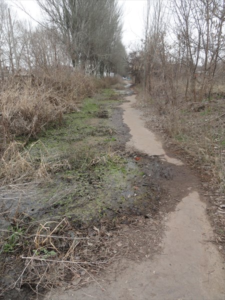 Это - тротуар на улице Ленина, одной из двух главных улиц города