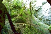 P6230134_resize