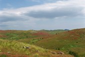 P6240182_resize