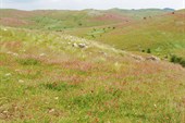 P6240183_resize