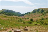 P6240186_resize