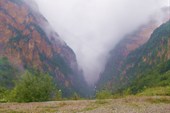 Укатанные в туман