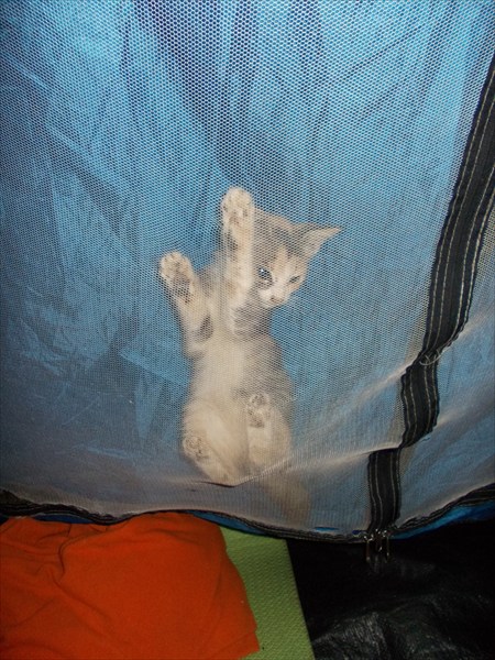Хочу в палатку!