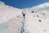 IMG_0740