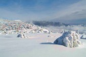IMG_0777