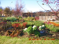 Сибирь. Середина октября.