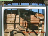 ... и в Красноярске