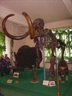 теплая компания