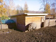 любимец нашей группы