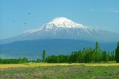 Ararat