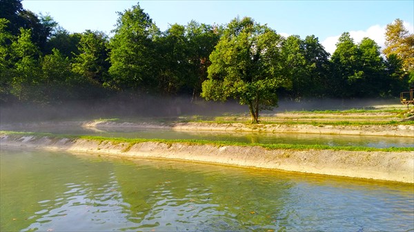 В хозяйстве 15 прудов по 2000 рыбин в каждом