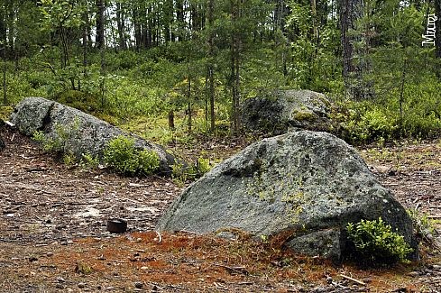 Камни на стоянке