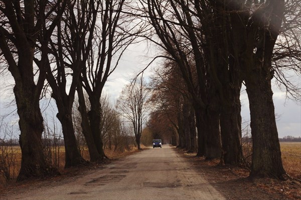 Дороги Калининградской области