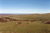 IMG_2467