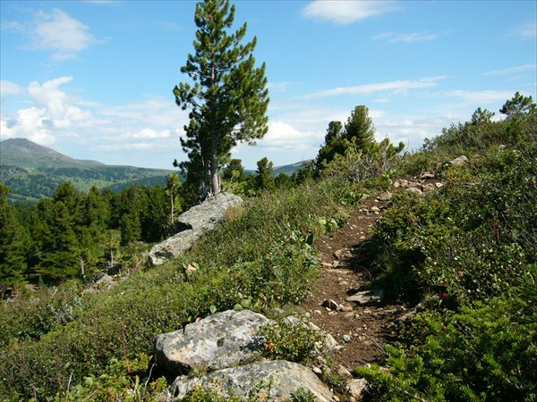 Алтайская тропа