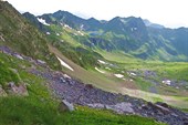 IMG_4047w