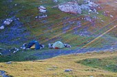 IMG_4102w