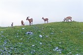 IMG_4134w