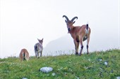 IMG_4135w