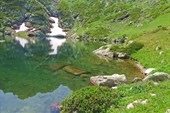 IMG_4186w
