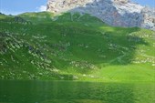 IMG_4196w