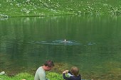 IMG_4199w