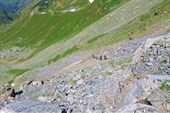 IMG_4460w