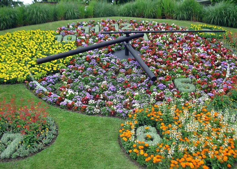 цветочные часы города карла линней. мимоза фрезии тюльпаны. парад цветов bloemencorso в голландии. фестиваль цветов bloemencorso в голландии. фестиваль тюльпанов кекенхоф.