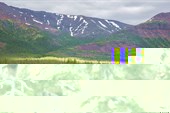 993C0091