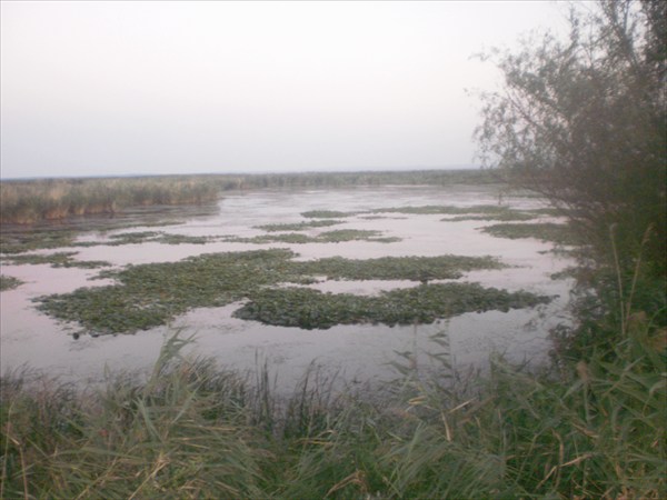 Озеро Ялпуг