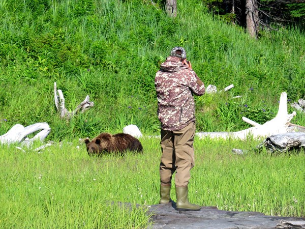 Ольховский фотогарфирует медведя