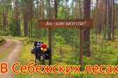 В_Себежских_лесах_