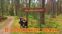 ВелоБеларусьСебеж2024