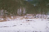 там красная поляна