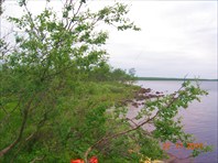 Няльмозеро