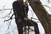 IMG_3636