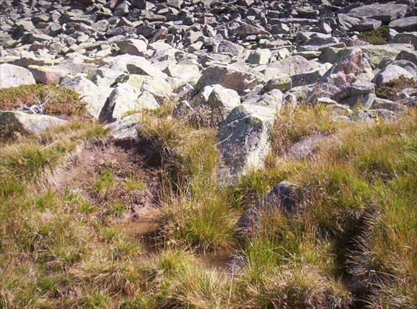 Бьет прямо из-под камней!