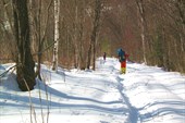 IMG_1949