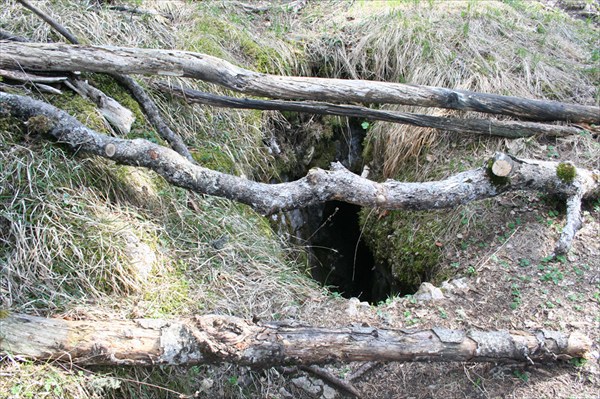 Пещера завалена ветками