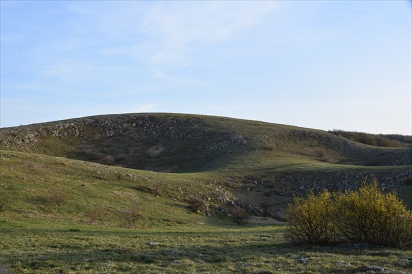 DSC_0238