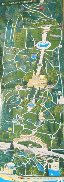 047-Карта Дендрария - фото в альбоме Сочи-2005