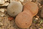 Ядра. Любопытные камни шаровидной формы. Похожи на пушечные ядра