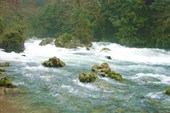 DSC00520